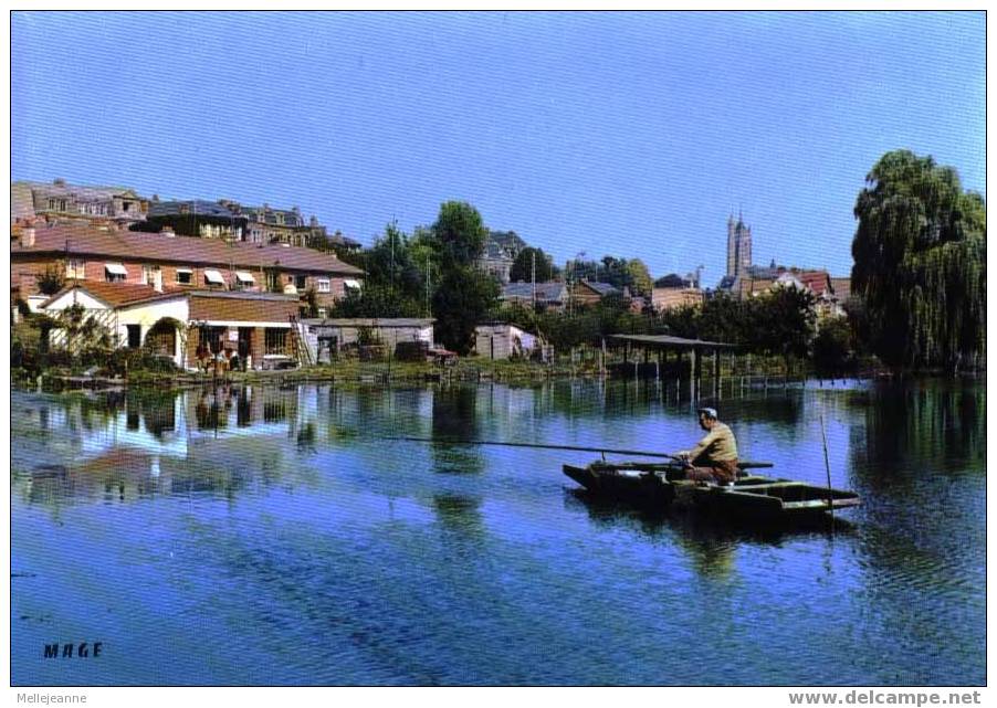 Cpsm Peronne (80) Vue De L´ Etang St Denis , Pêcheur . Datée 80 - Peronne