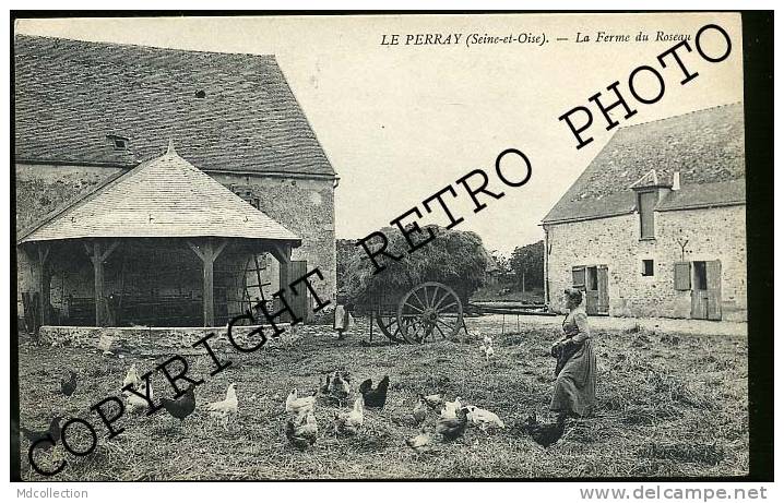 LE PERRAY EN YVELINES La Ferme Du Roseau (agriculture Poules) - Le Perray En Yvelines