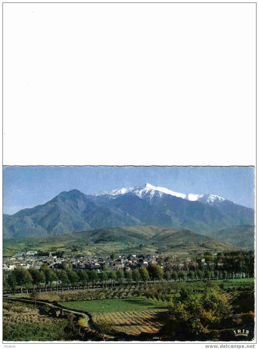 Carte Postale 66.   La Côte Vemeille  PRADES  Massif Du Canigou - Prades