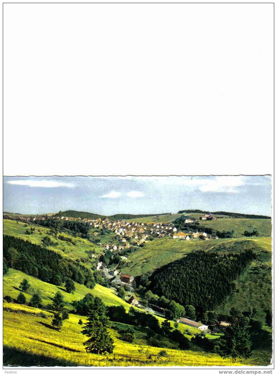 Carte Postale   Allemagne  Bergstadt St. Andreasberg (Oberharz)  Luftkurort U. Wintersportplatz  BT3 - St. Andreasberg