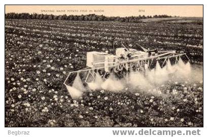 SPRAYING MAINE ¨POTATO FIELD IN BLOOM      AGRICULTURE  MACHINE - Autres & Non Classés