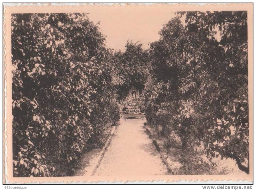 Machelen A/ Leie - Instituut H Hart Van Maria - Pensionnat Du Saint Ceur De Marie : Dreef In De Hof , Allée Du Jardin - Zulte