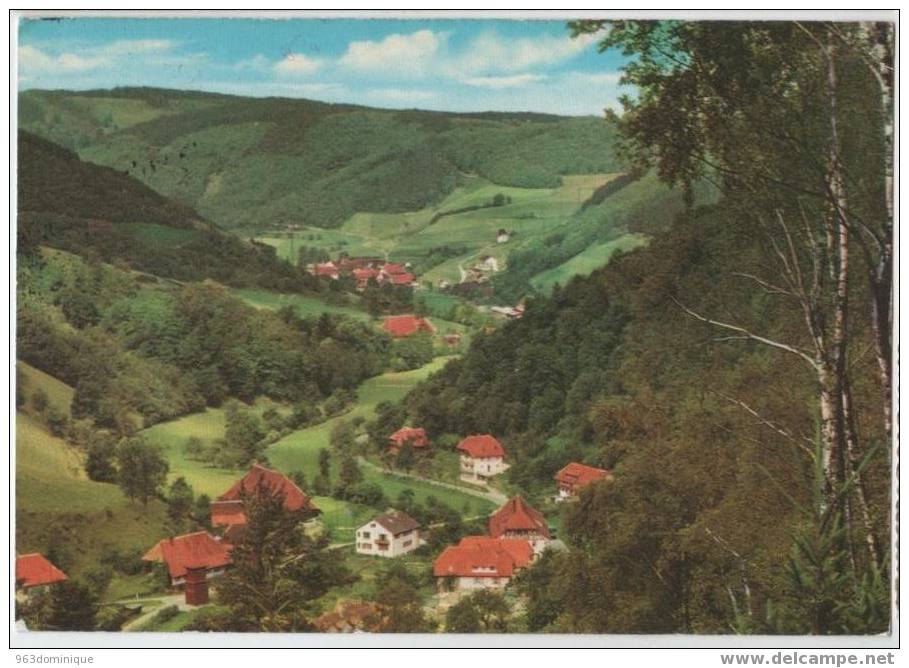 Elzach - Oberprechtal - Schwarzwald - Elzach