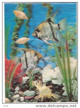 POISSONS D'Aquarium : Scalaire, Gourami ;carte En Relief 3D , 1974 ;TB - Fish & Shellfish