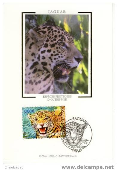 Carte Maximum (CM) - Jaguar 1er Jour Le 28 Avril 2007 - 2000-2009