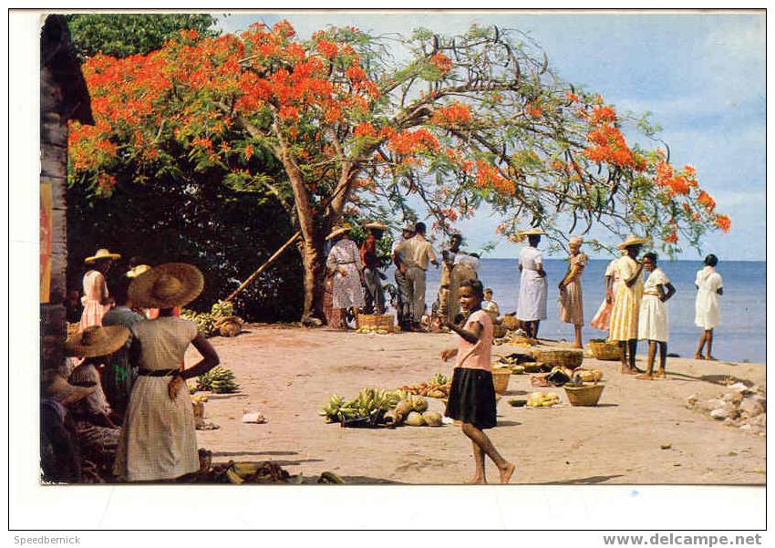 6674 Martinique.- Trois Rivières - Marché En Plein Air - 45 Rose-rosette - Autres & Non Classés