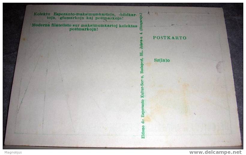 Esperanto,Bulgaria,Map,Maximum Card,Event Stamp,Vintage Postcard - Esperanto