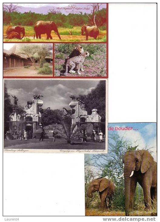 3 Elephant Postcard - 3 Carte D´elephant - Elefantes