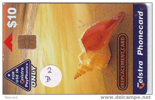 Schelpen - Seashells – Conchiglia – Sea Shell –  Coquille – Muschel – Seashell – Muszle (2b) - Andere & Zonder Classificatie