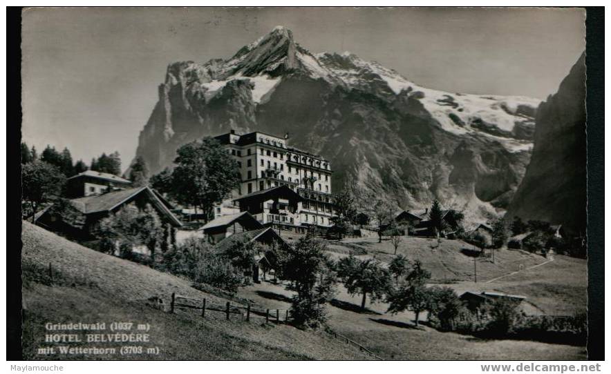 Grindelwald Wetterhorn Hotel Belvedere - Grindelwald