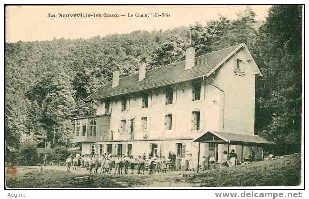 VOSGES -ref No 88206- La Neuville Les Raon- Le Chalet Julis-bois- Bon Etat - Other & Unclassified