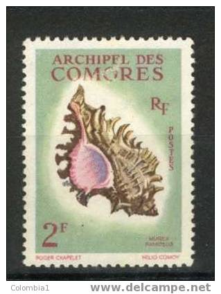 COMORES YT 21 Ob Cote 3,30 - Other & Unclassified