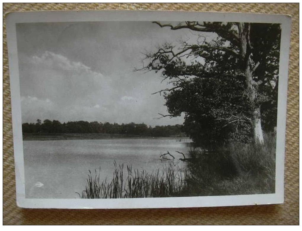 23 LA SOUTERRAINE ETANG DE CHES - La Souterraine