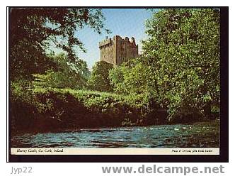 Jolie CP Ireland Irlande Blarney Castle Cork Château - Neuve - Cork