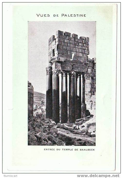 SUPERBE CPA...DE...PALESTINE...L'ENTREE DU TEMPLE DE BAALBECK... - Palestine