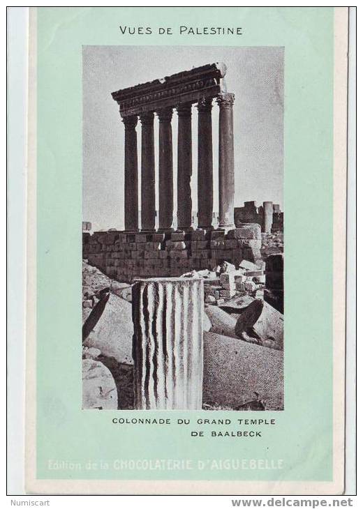 SUPERBE CPA...DE...PALESTINE...COLONNADE DU GRAND TEMPLE DE BAALBECK... - Palestine