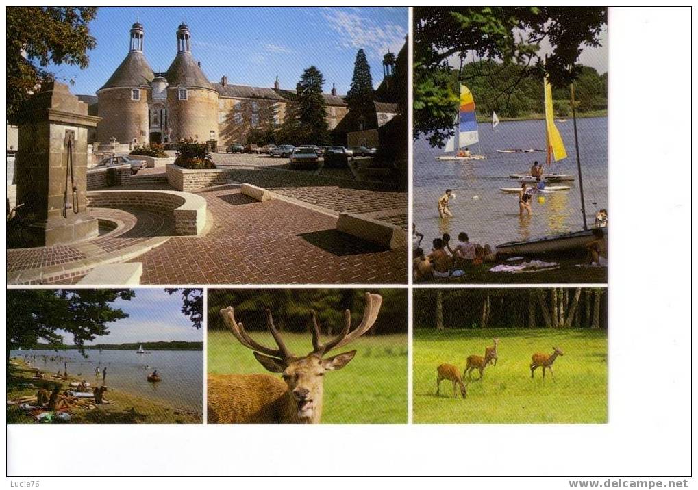 SAINT FARGEAU   -   Le Château, Le Lac Du BOURDON, BOUTISSAINT, La Nature    -  5 Vues - Saint Fargeau