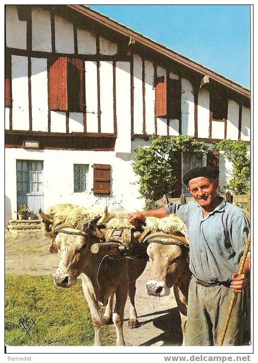 ATTELAGE DEVANT LA FERME - Attelages