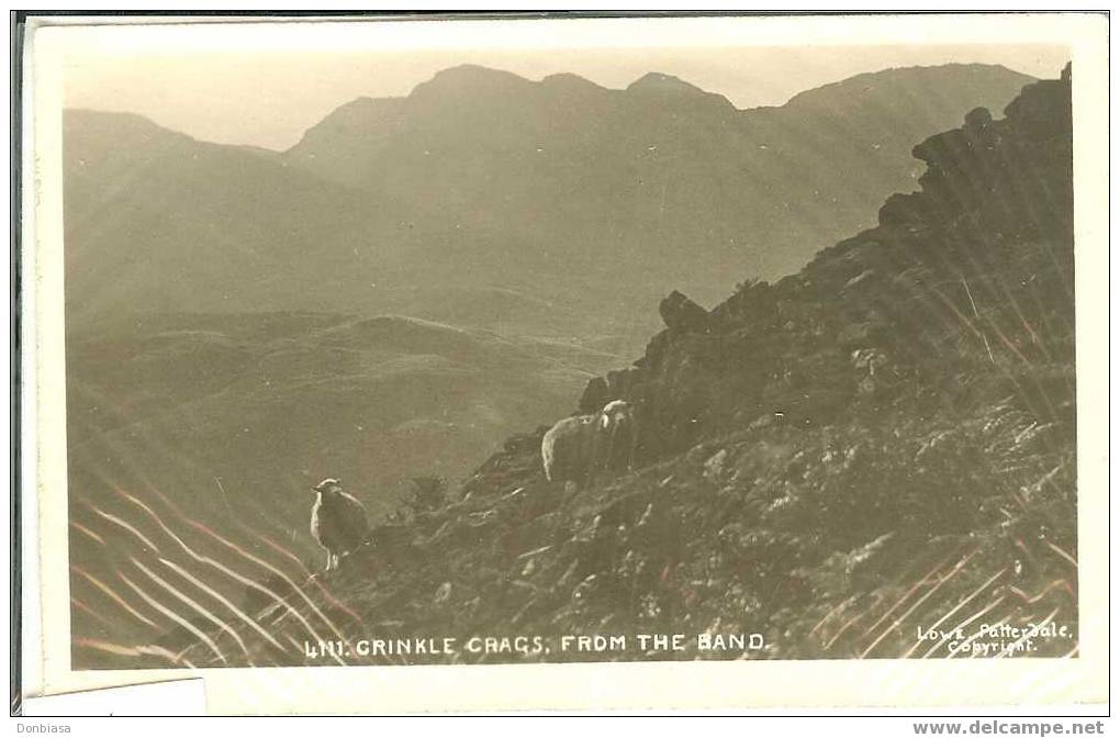 Crinkle Crags, From The Band: Postcard B/w ´30 (sheep, Pecora) - Andere & Zonder Classificatie