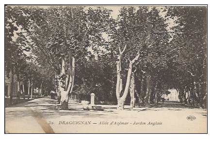 83 - DRAGUIGNAN - Allée D'Azémar - Jardin Anglais - Draguignan