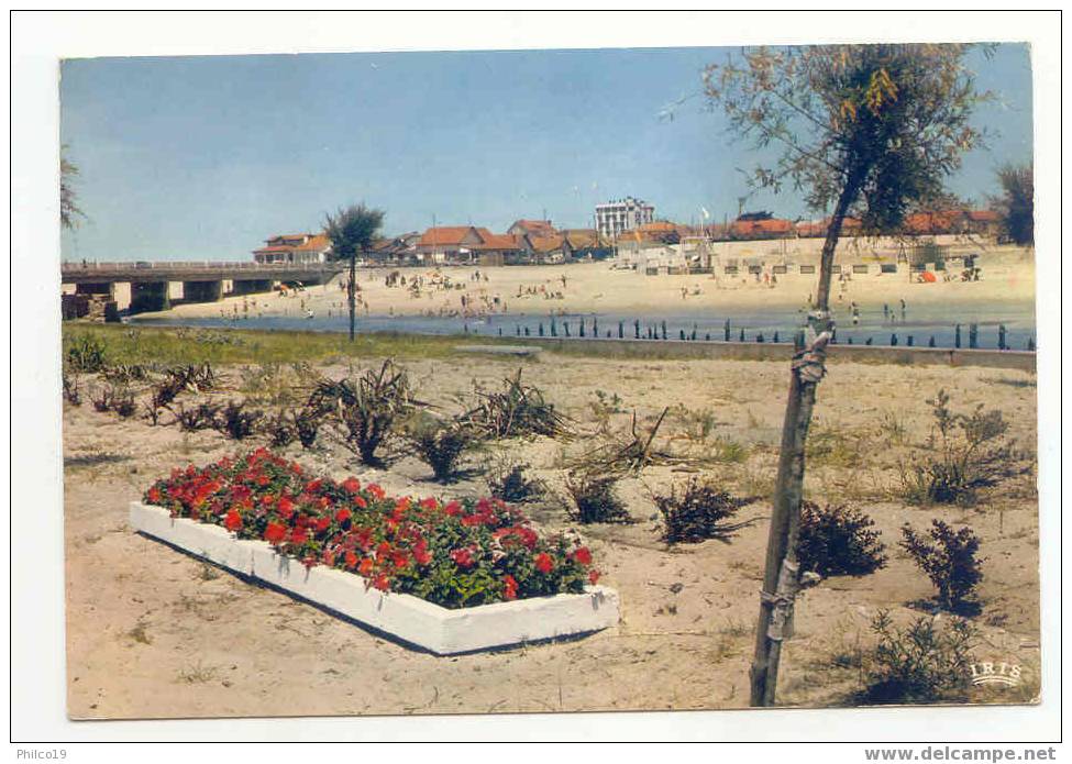 MIMIZAN PLAGE-PLAGE DU COURANT- - Mimizan Plage