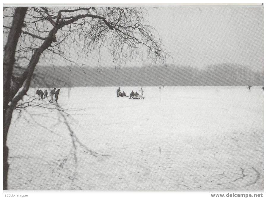 Aalter - Bellem - Winterpret Op De Kraenepoel - Aalter