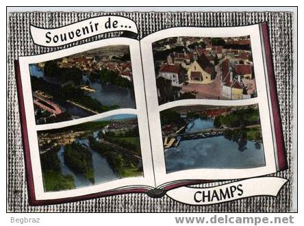 CHAMPS     SOUVENIR  DE - Champs Sur Yonne