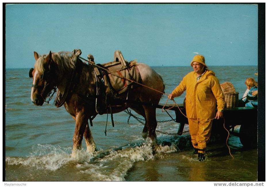 Oostduinkerke Pecheur De Crevettes - Oostduinkerke