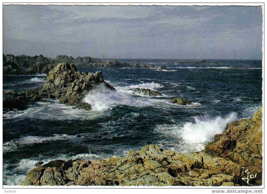 Carte Postale 29.  Ouessant Gros Temps Sur La Côte  édit: IRIS - Ouessant