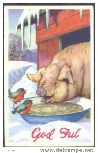 Big Pig Feeding With Birds ´God Jul´ - Schweine