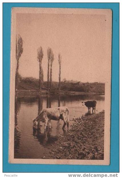 CP SABLE - L'ABREUVOIR - VACHES - Sable Sur Sarthe