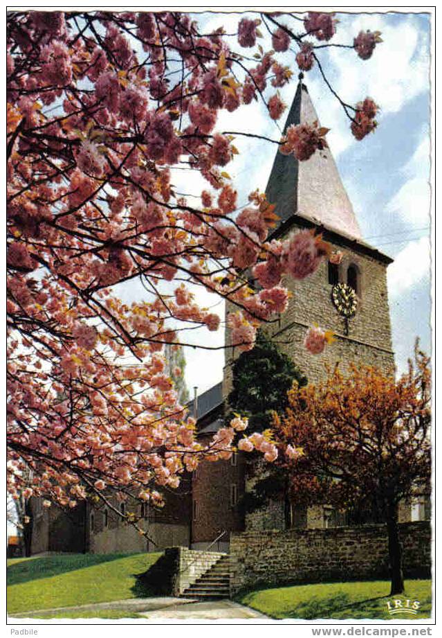 Carte Postale   Belgique  Boitsfort  Eglise St-Clément - Watermael-Boitsfort - Watermaal-Bosvoorde