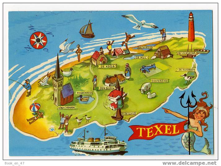{19849} Texel , Carte Et Illustrations - Texel