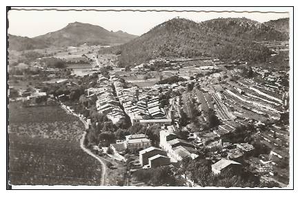 83 - La ROQUEBRUSSANNE - Vue Panoramique - Semi Moderne Petit Format - La Roquebrussanne