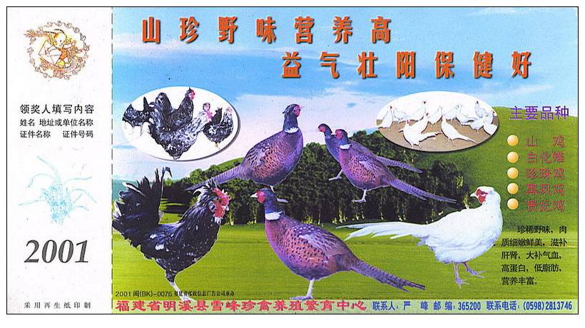 Chine : EP Entier Tombola Voyagé Elevage Volaille Faisan Poule Coq Pheasant Poultry Agriculture Breeding Husbandry - Gallinacées & Faisans