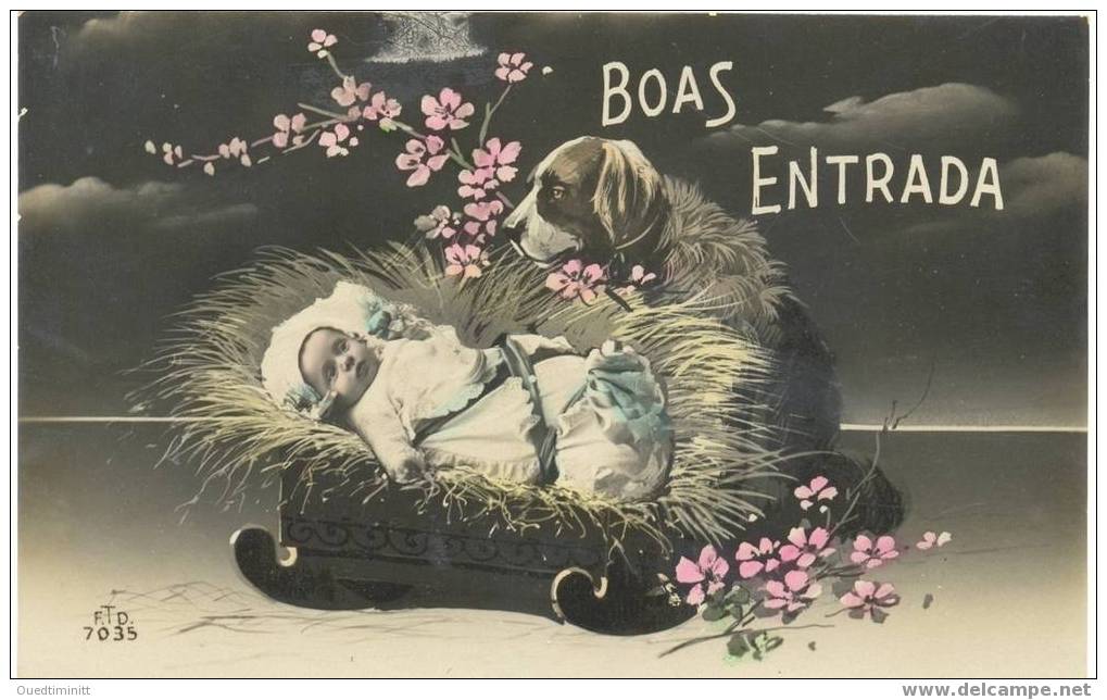Brésil.1913.bébé Et Chien Saint-Bernard. - Hunde