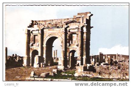 CP - PHOTO - TIMGAD - 70 - LES RUINES ROMAINES - CIM - Constantine