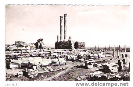 CP - PHOTO - RUINES ROMAINES DE TIMGAD - 3 - COLONNES DU PRONAOS DU CAPITOLE - C. A. P. - Otros & Sin Clasificación