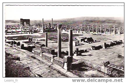 CP - PHOTO - RUINES ROMAINES DE TIMGAD - 11 - ENSEMBLE DU FORUM - C. A. P. - Otros & Sin Clasificación