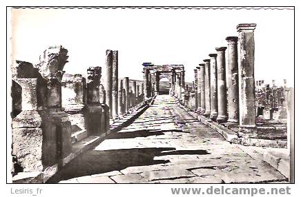 CP - PHOTO - RUINES ROMAINES DE TIMGAD - 608 - VOIE DU DECUMANCES ET ARC DE TRAJAN - C. A. P. - Otros & Sin Clasificación