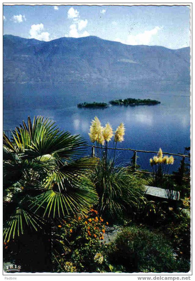 Carte Postale SUISSE Ronco-sur-Ascona- "Lago Maggiore"  Lac Majeure  édit : IRIS - Ronco Sopra Ascona