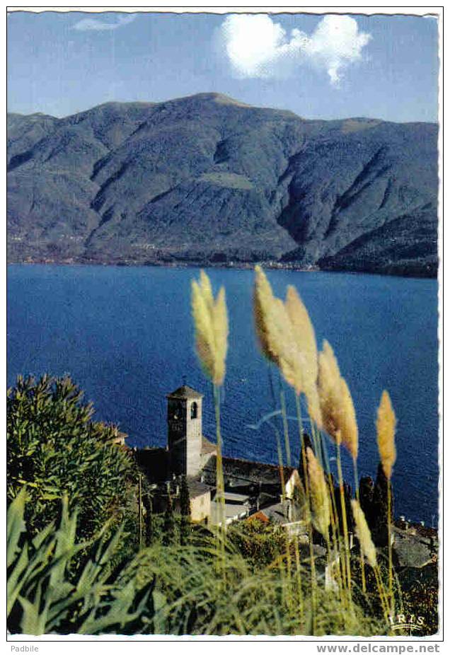 Carte Postale SUISSE -Brissago  "Lago Maggiore"  Lac Majeur  édit : IRIS - Brissago