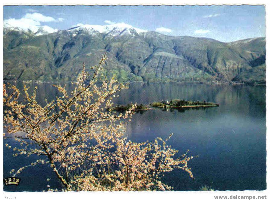 Carte Postale SUISSE -Isole Di Brissago  "Lago Maggiore"  Lac Majeur  édit : IRIS - Brissago