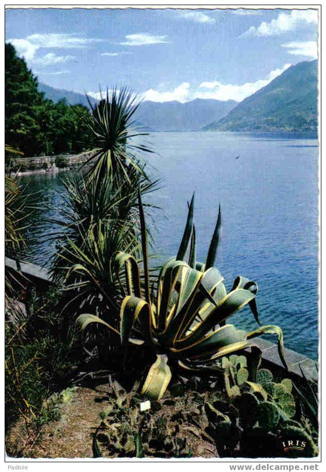Carte Postale SUISSE -Isole Di Brissago  "Lago Maggiore"  Lac Majeur  édit : IRIS - Brissago