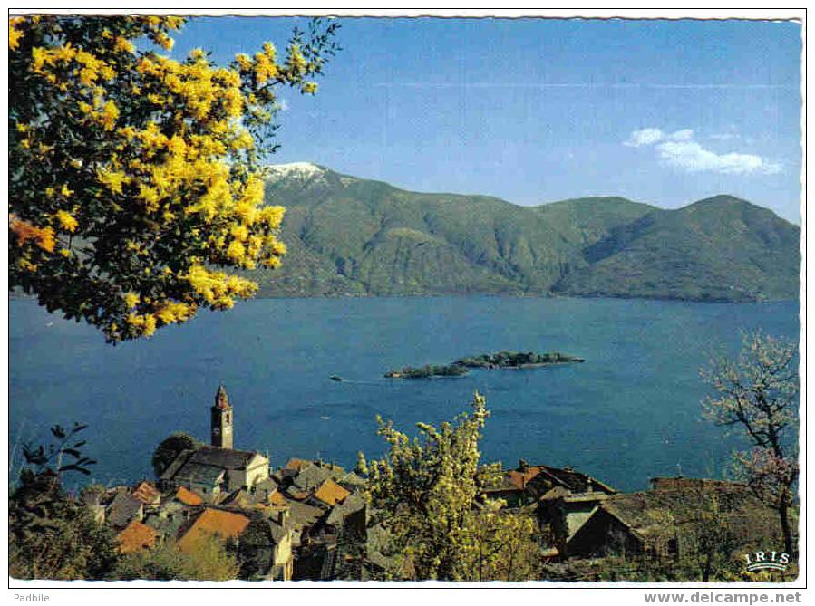 Carte Postale SUISSE -Ronco Sur Ascona  "Lago Maggiore"  Lac Majeur  édit : IRIS - Ascona