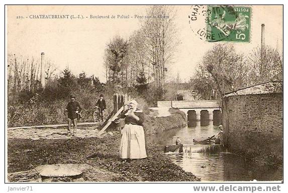 Chateaubriant. Boulevard De Paluel - Châteaubriant