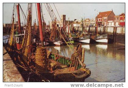 Zeebrugge ? Bateaux De Pêche Visboten - Zeebrugge