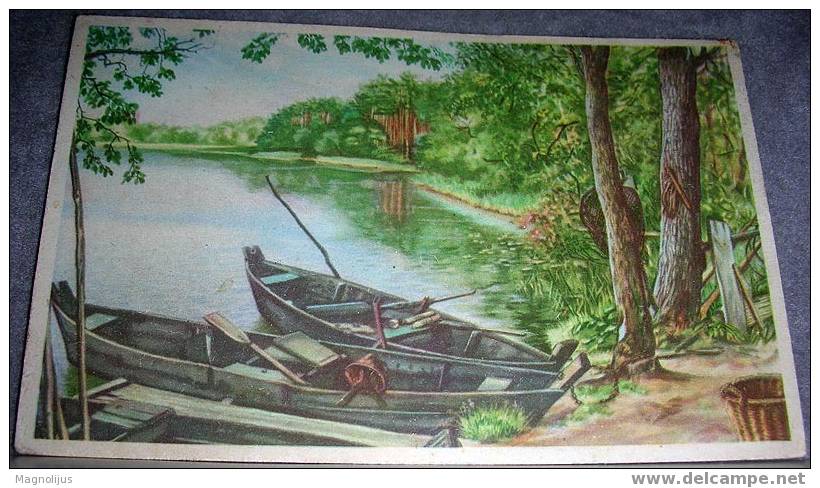 Fishing,Boat,Lake,Net,vintage  Postcard - Pêche