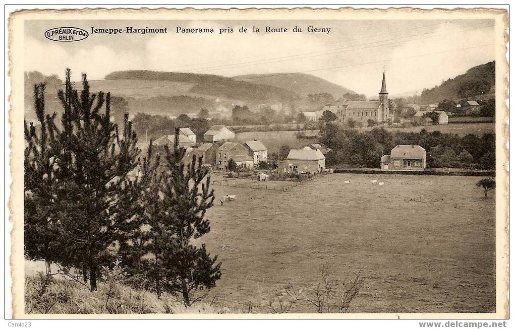JEMEPPE  -  HARGIMONT   :  PANORAM  PRIS  DE  LA  ROUTE  DU  GERNY - Jemeppe-sur-Sambre