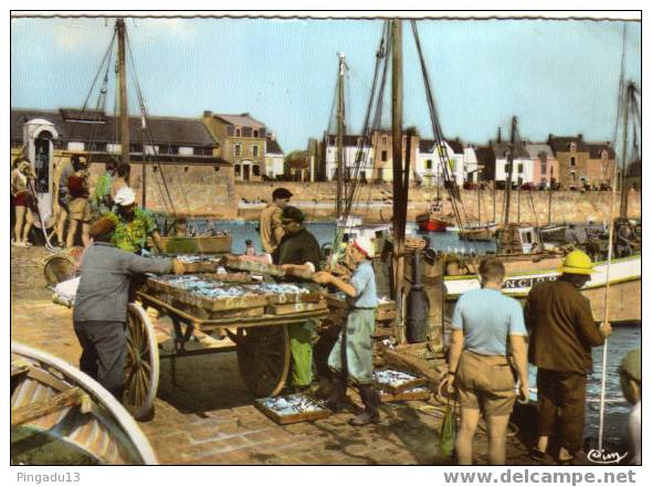 La Turballe L'arrivée Des Sardines Pêche - La Turballe